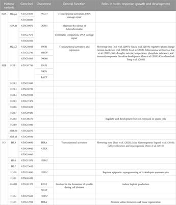 Advances in biological functions and mechanisms of histone variants in plants